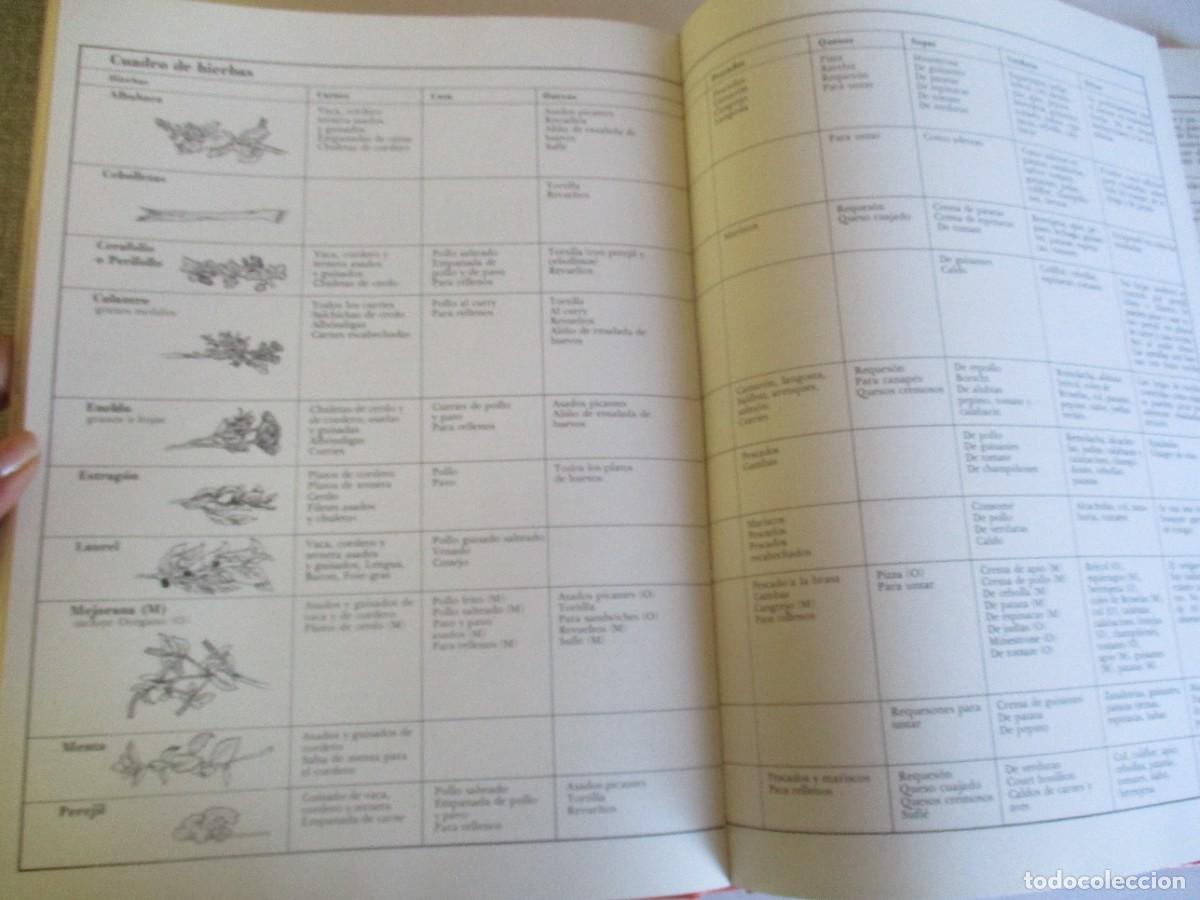 Libros de segunda mano: HIERBAS Y ESPECIAS W18310 - Foto 3
