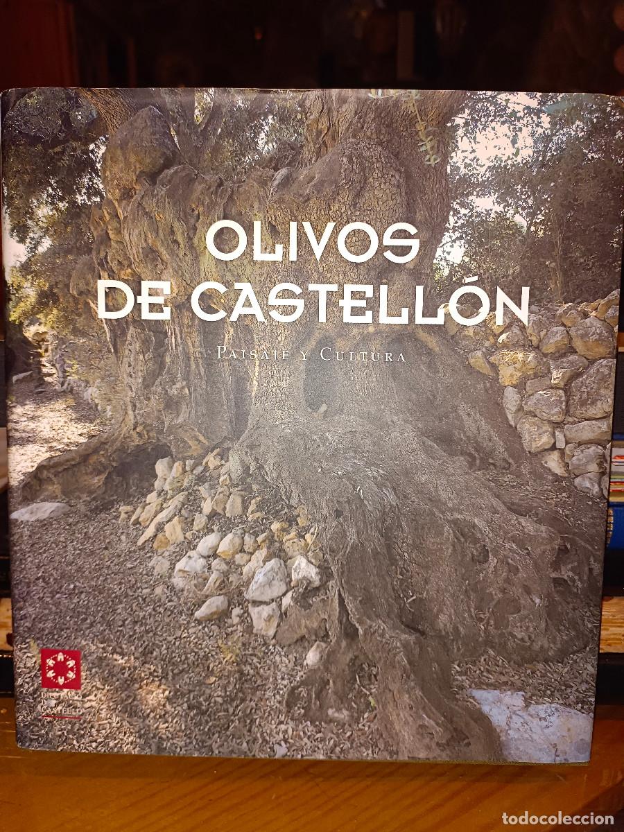 Libros de segunda mano: OLIVOS DE CASTELL&Oacute;N - Foto 1