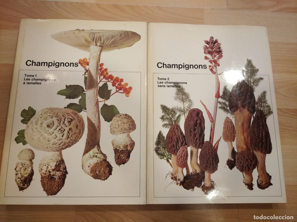 Libros de segunda mano: Champignons. 2 vol. Les champignons &agrave; lamelles. - Foto 1