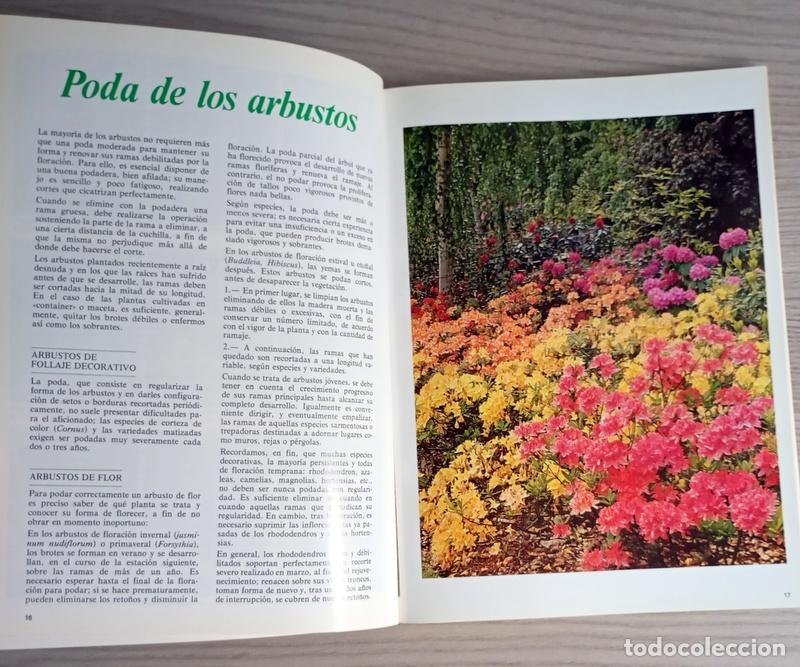Libros de segunda mano: ARBUSTOS DE ORNAMENTO - ROBERTO GUILLEN - Foto 2
