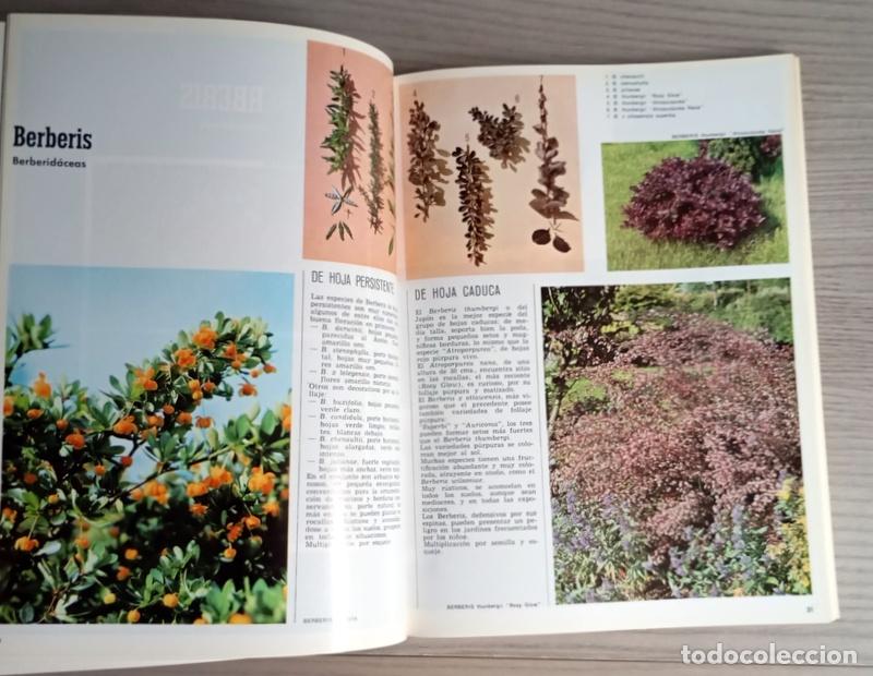 Libros de segunda mano: ARBUSTOS DE ORNAMENTO - ROBERTO GUILLEN - Foto 3