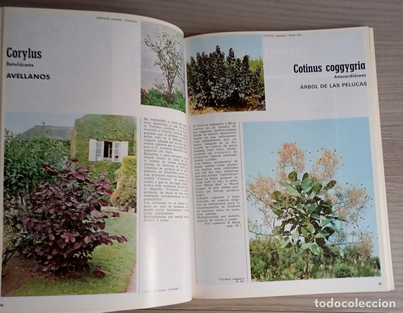 Libros de segunda mano: ARBUSTOS DE ORNAMENTO - ROBERTO GUILLEN - Foto 4