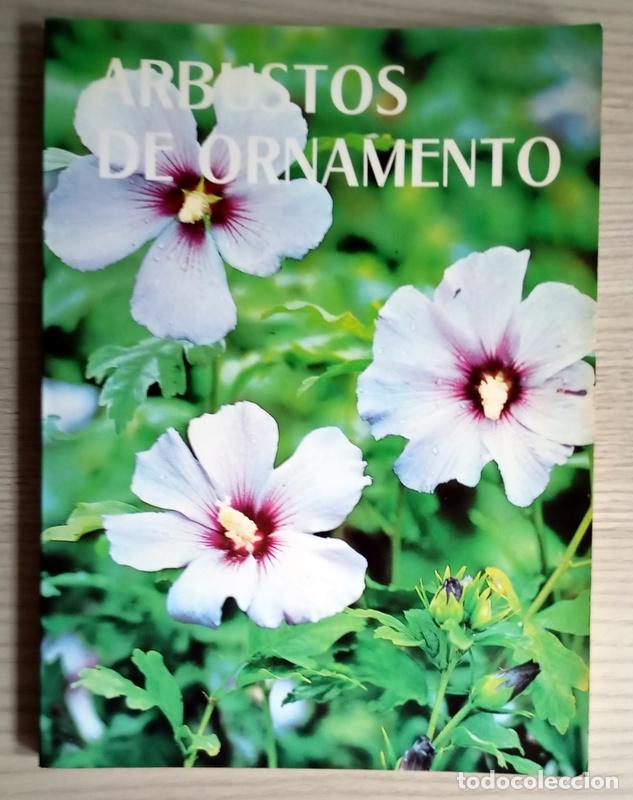 Libros de segunda mano: ARBUSTOS DE ORNAMENTO - ROBERTO GUILLEN - Foto 1