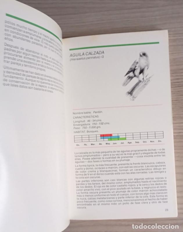 Libros de segunda mano: AVES RAPACES DE ASTURIAS - ERNESTO JUNCO - Foto 3