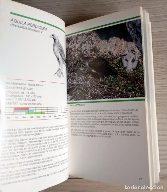 Libros de segunda mano: AVES RAPACES DE ASTURIAS - ERNESTO JUNCO - Foto 4