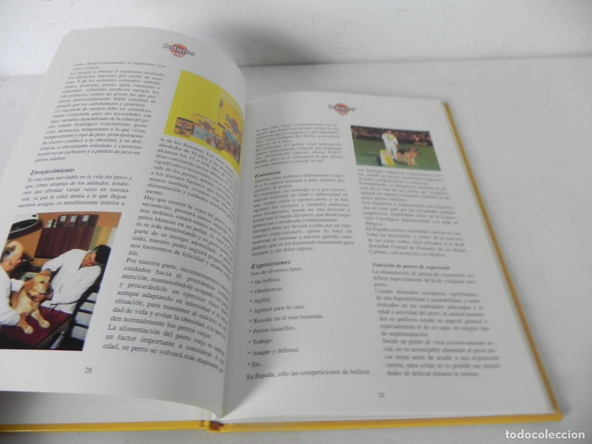 Libros de segunda mano: EL LIBRO DEL PERRO (Lo que necesitas aprender de la A a la Z) PEDIGREE PAL-1997 - Foto 3