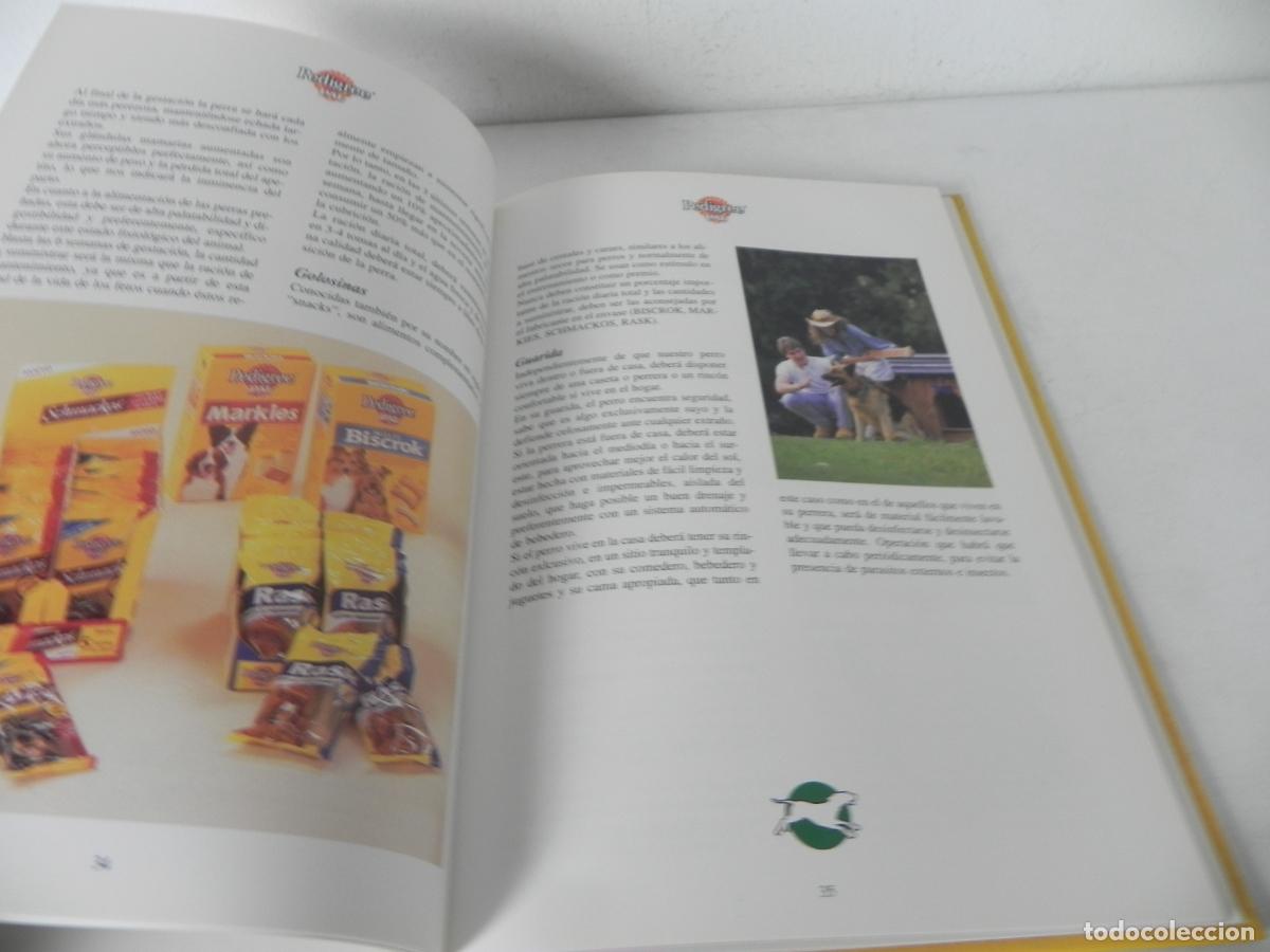 Libros de segunda mano: EL LIBRO DEL PERRO (Lo que necesitas aprender de la A a la Z) PEDIGREE PAL-1997 - Foto 4
