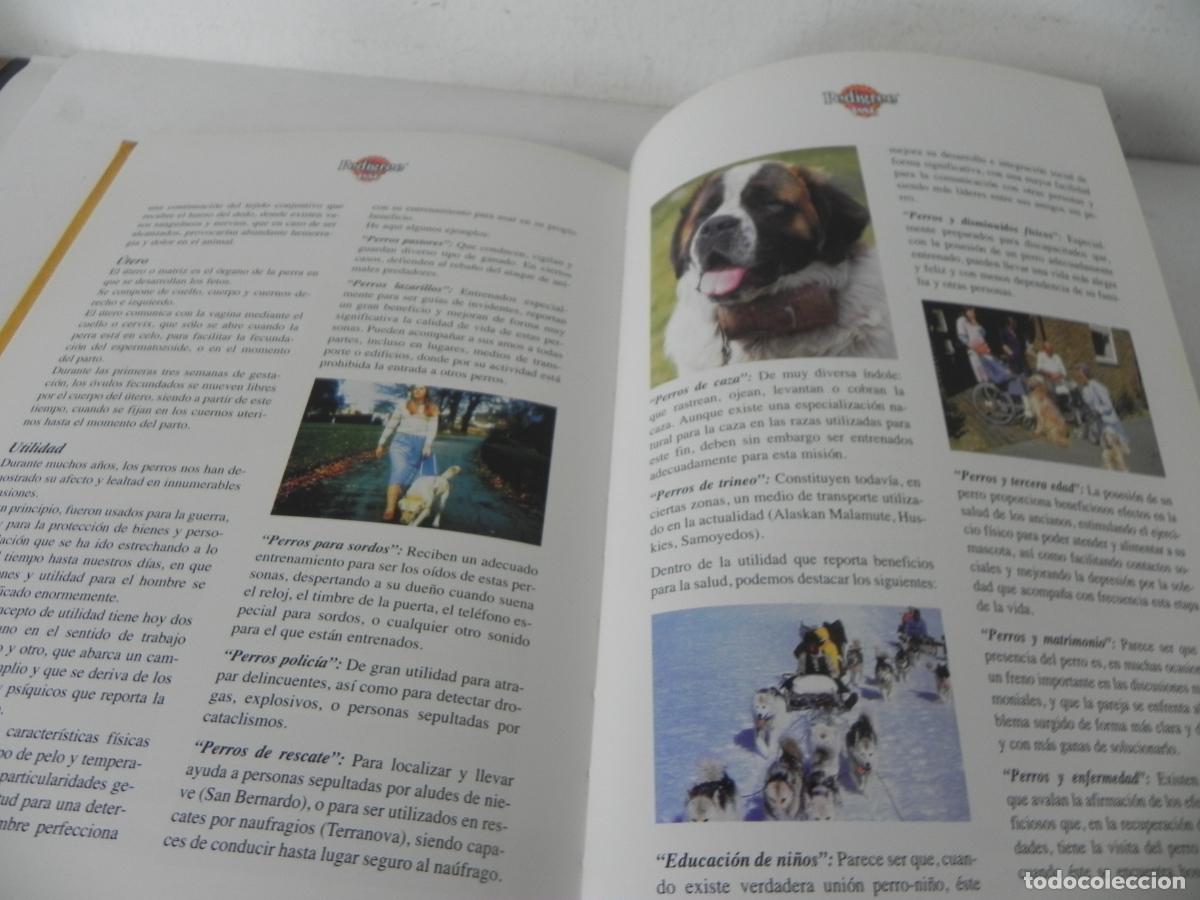 Libros de segunda mano: EL LIBRO DEL PERRO (Lo que necesitas aprender de la A a la Z) PEDIGREE PAL-1997 - Foto 5