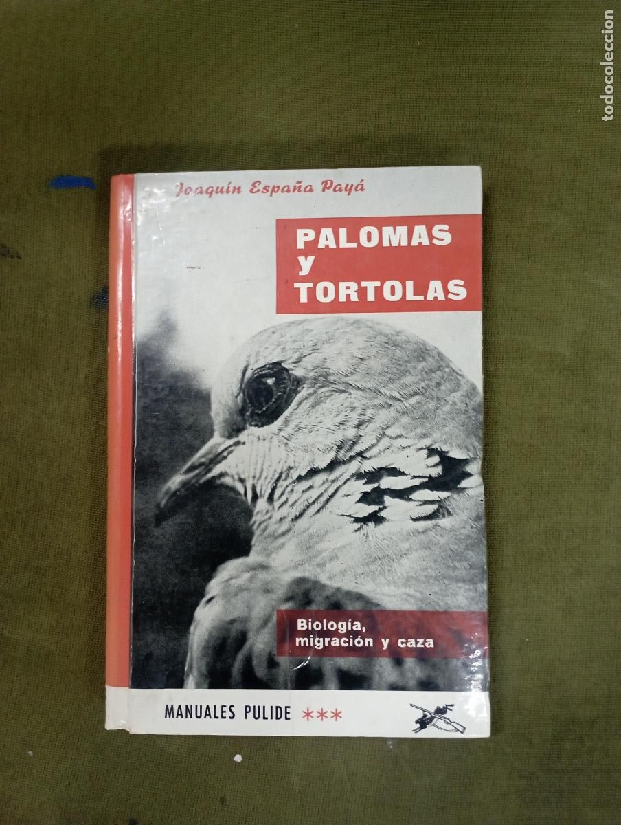 Libros de segunda mano: palomas y tortolas -joaquin espa&ntilde;a - Foto 1