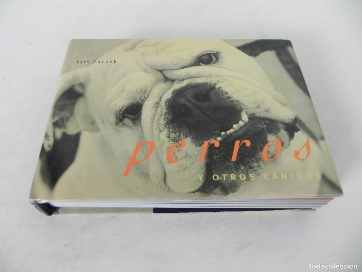 Libros de segunda mano: PERROS Y OTROS C&Aacute;NIDOS (IAIN ZACZEK) EVERGREEN-2000 - Foto 2