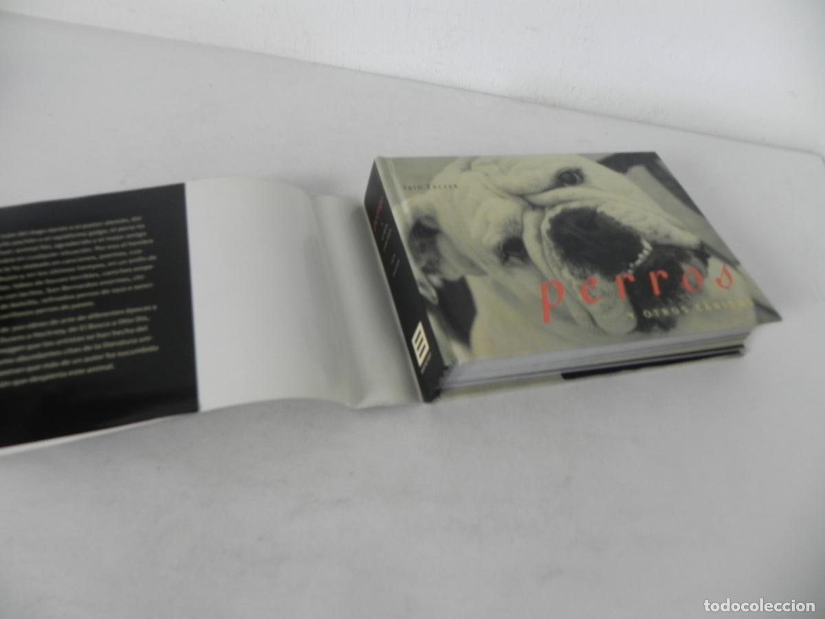 Libros de segunda mano: PERROS Y OTROS C&Aacute;NIDOS (IAIN ZACZEK) EVERGREEN-2000 - Foto 3