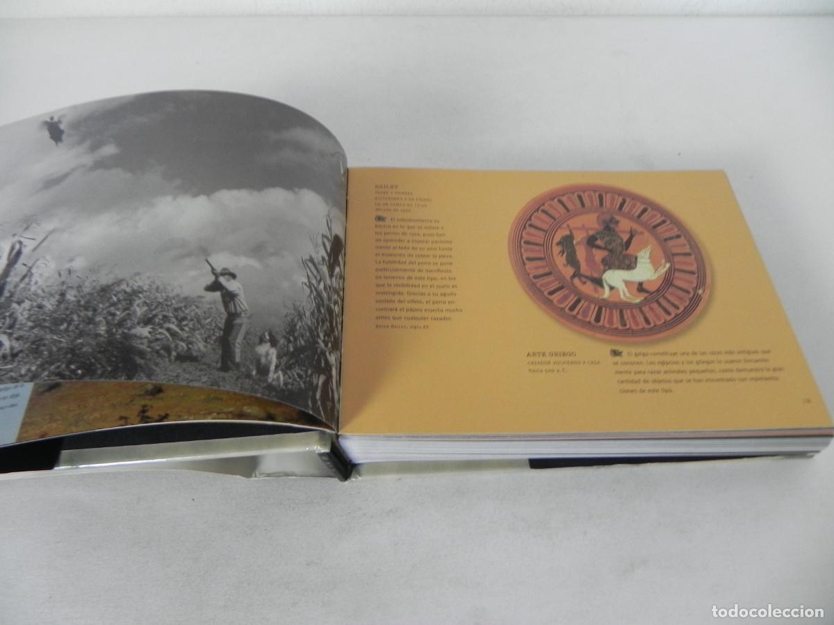Libros de segunda mano: PERROS Y OTROS C&Aacute;NIDOS (IAIN ZACZEK) EVERGREEN-2000 - Foto 4