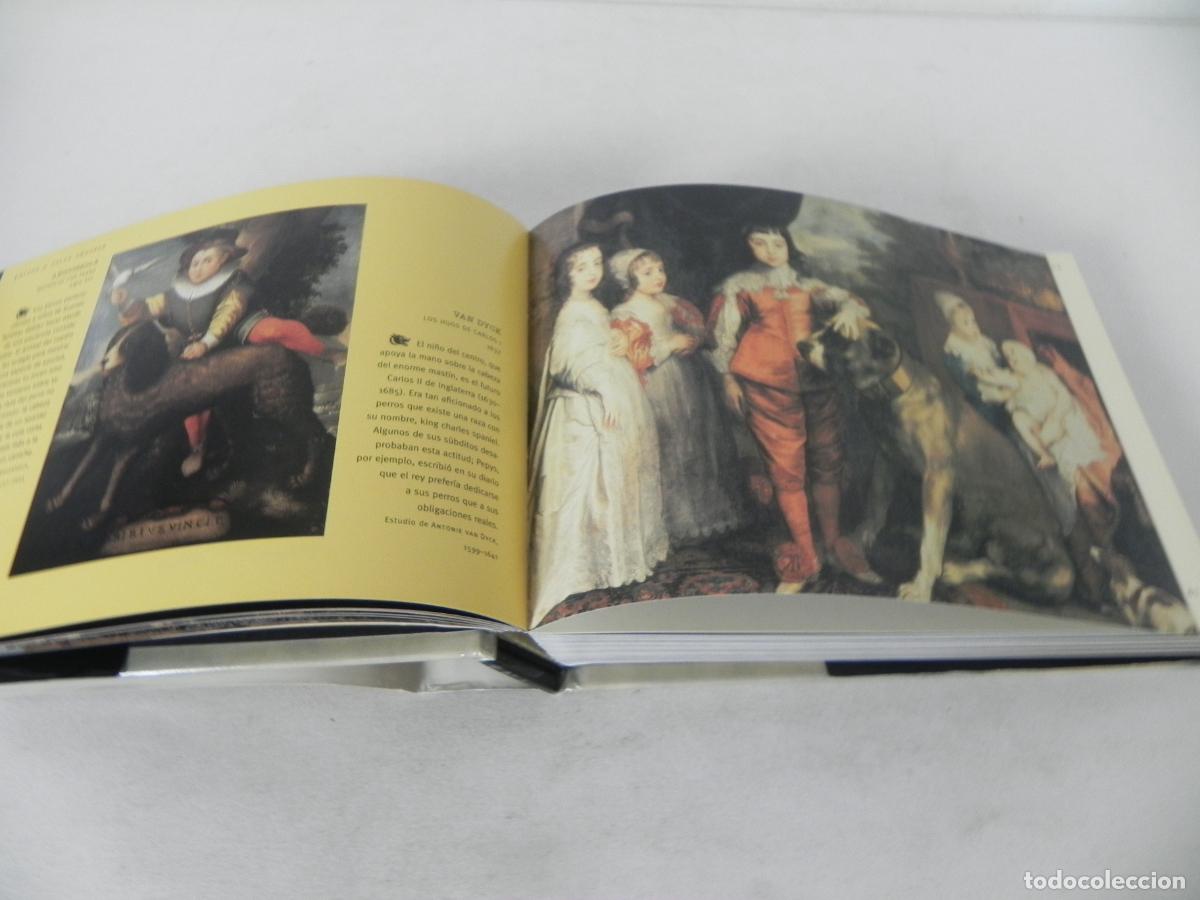 Libros de segunda mano: PERROS Y OTROS C&Aacute;NIDOS (IAIN ZACZEK) EVERGREEN-2000 - Foto 5