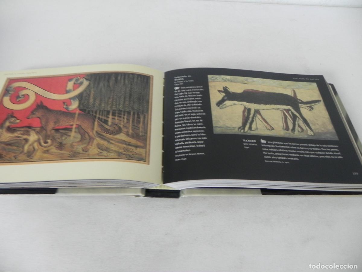 Libros de segunda mano: PERROS Y OTROS C&Aacute;NIDOS (IAIN ZACZEK) EVERGREEN-2000 - Foto 7