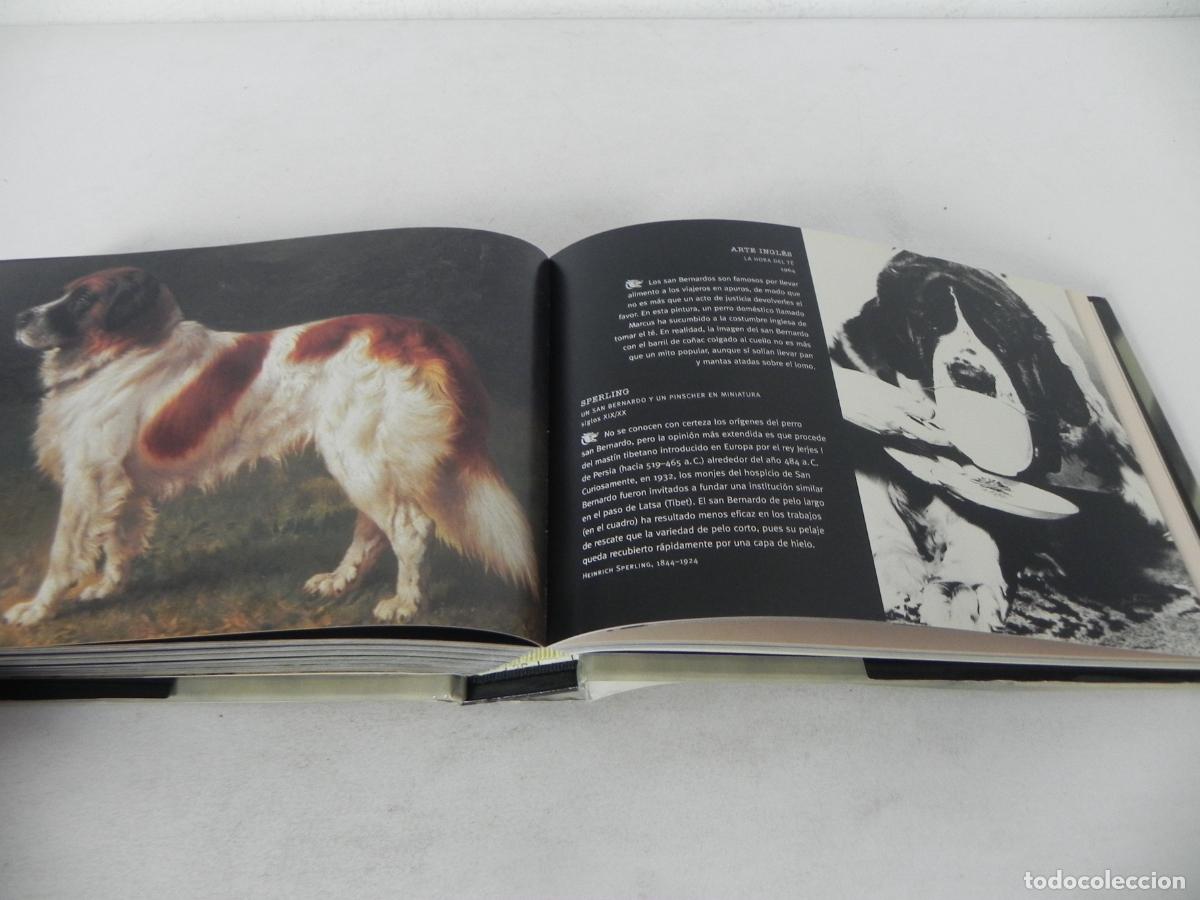 Libros de segunda mano: PERROS Y OTROS C&Aacute;NIDOS (IAIN ZACZEK) EVERGREEN-2000 - Foto 9