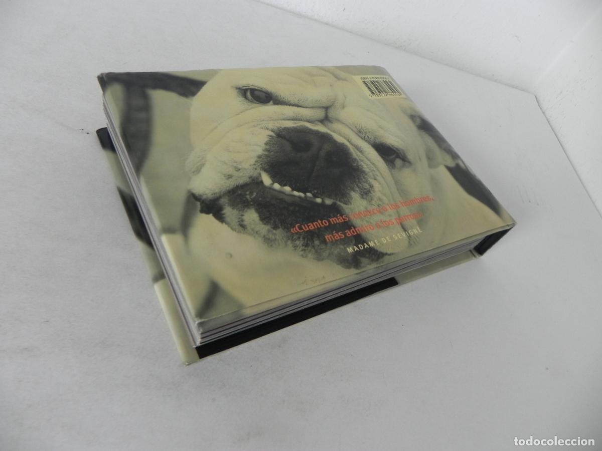 Libros de segunda mano: PERROS Y OTROS C&Aacute;NIDOS (IAIN ZACZEK) EVERGREEN-2000 - Foto 11