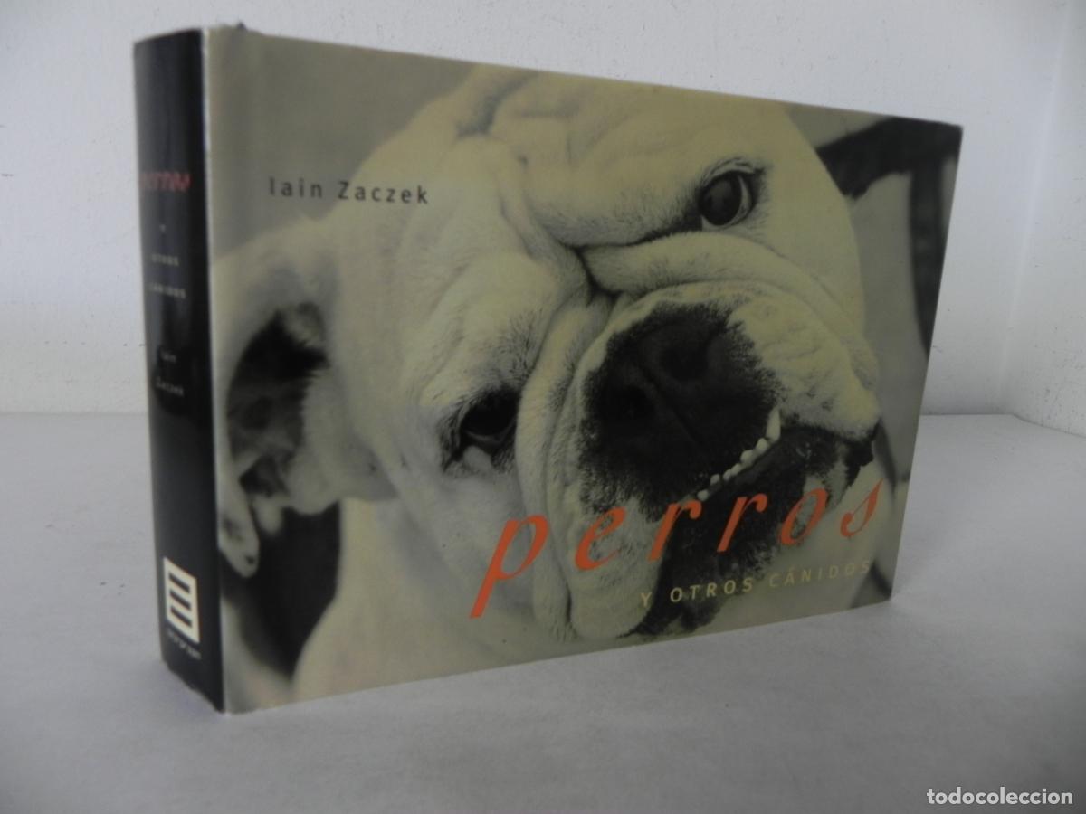 Libros de segunda mano: PERROS Y OTROS C&Aacute;NIDOS (IAIN ZACZEK) EVERGREEN-2000 - Foto 1