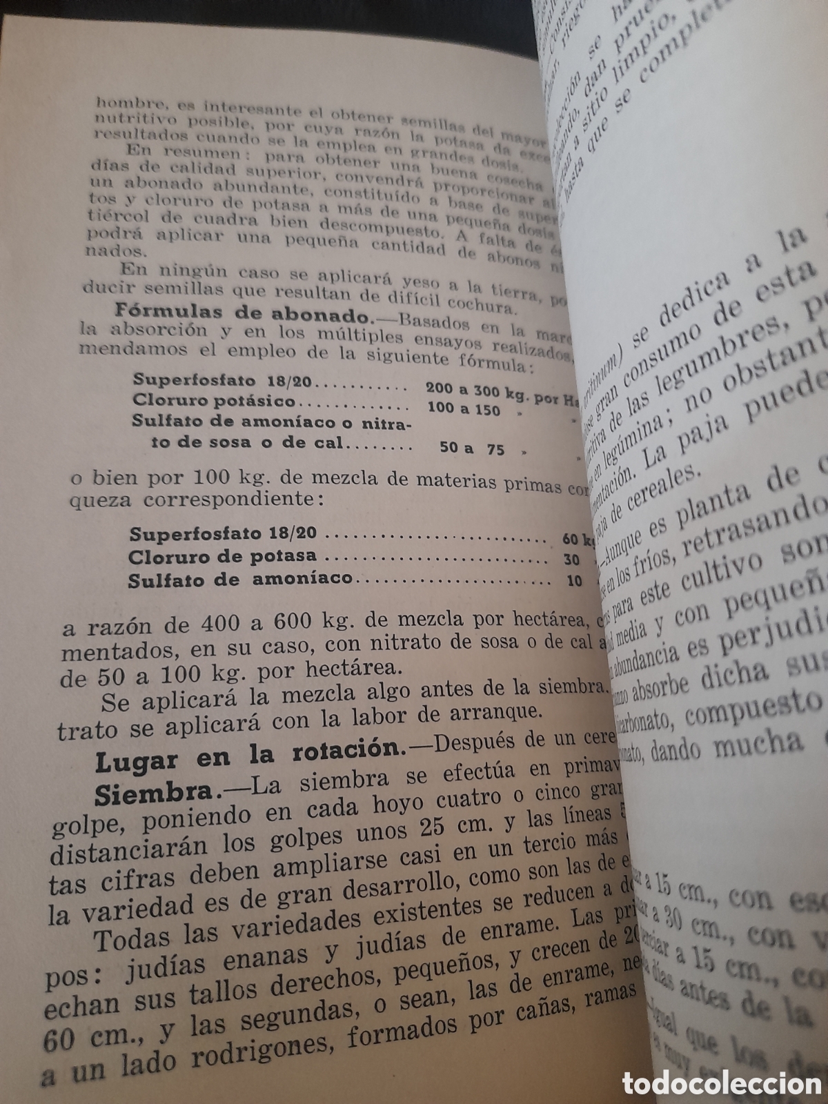 Libros de segunda mano: Abonado y Cultivo de las Leguminosas - Foto 5
