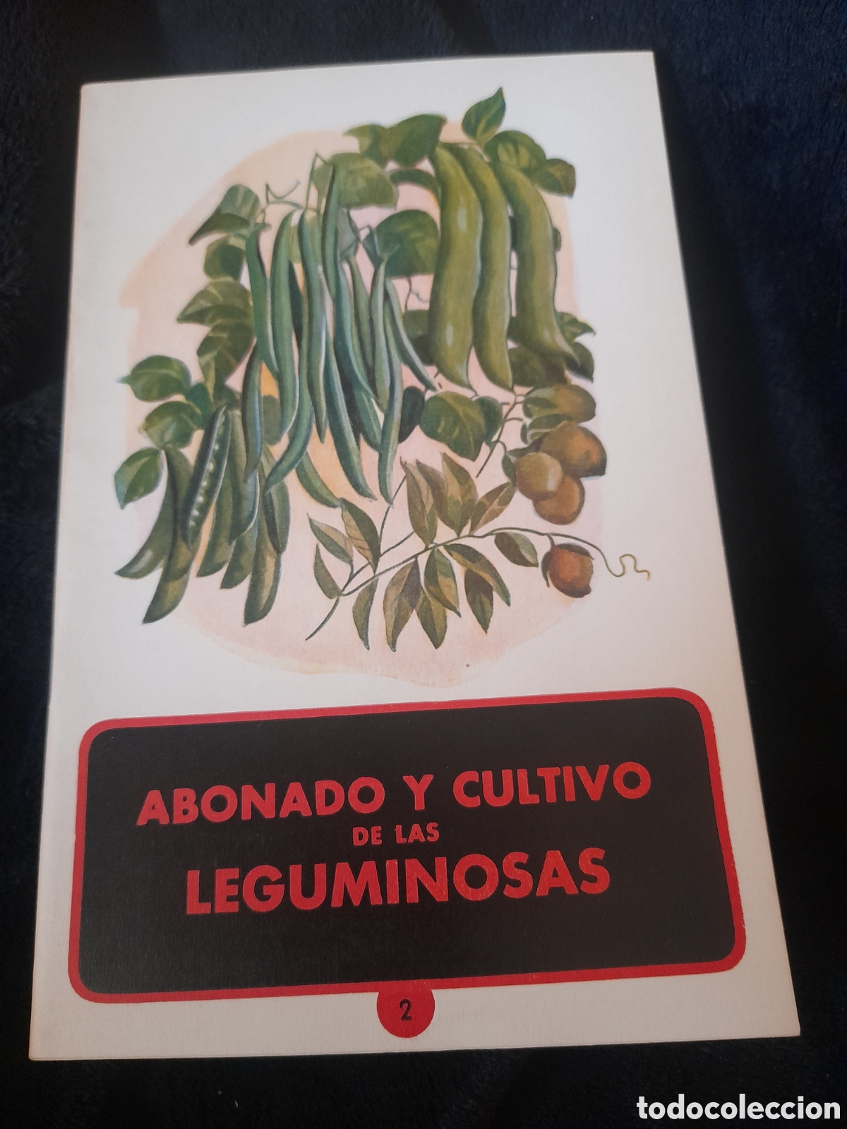 Libros de segunda mano: Abonado y Cultivo de las Leguminosas - Foto 1