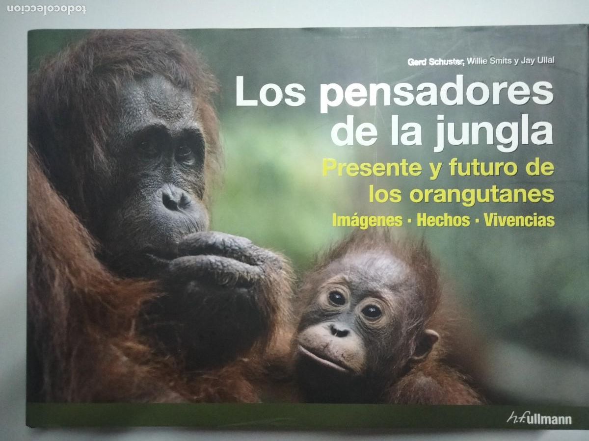 Libros de segunda mano: Gran libro orangutanes - Foto 1