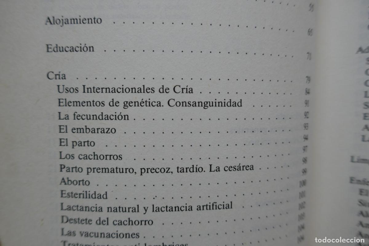 Libros de segunda mano: Los cocker por Fiorenzo Fiorone de Ed. De Vecchi - Foto 9