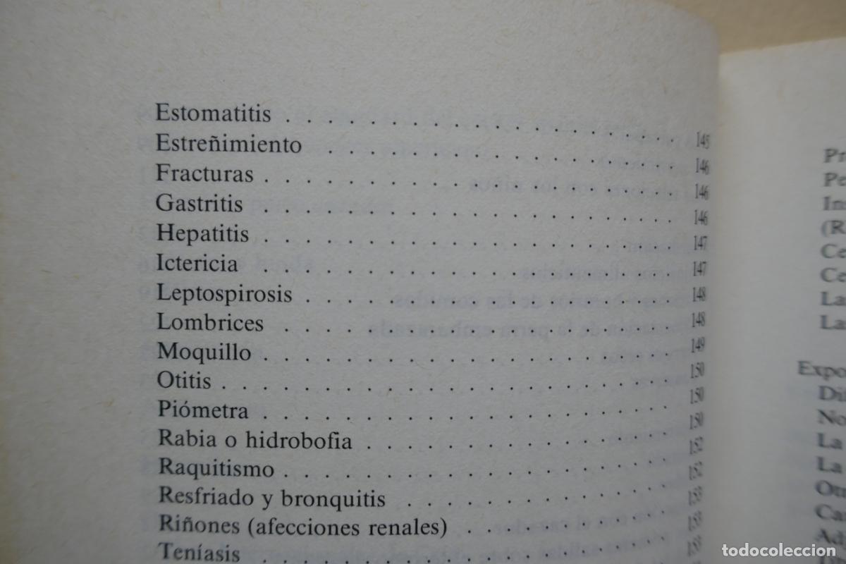 Libros de segunda mano: Los cocker por Fiorenzo Fiorone de Ed. De Vecchi - Foto 12
