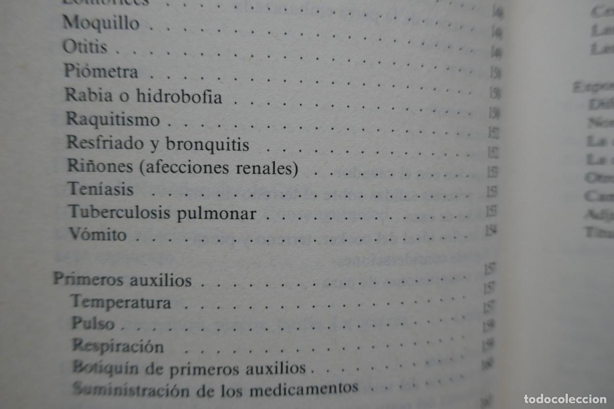Libros de segunda mano: Los cocker por Fiorenzo Fiorone de Ed. De Vecchi - Foto 13