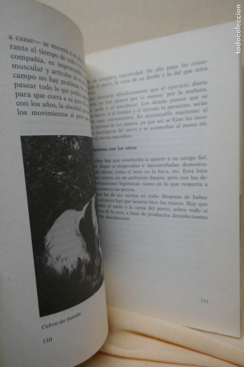 Libros de segunda mano: Los cocker por Fiorenzo Fiorone de Ed. De Vecchi - Foto 17