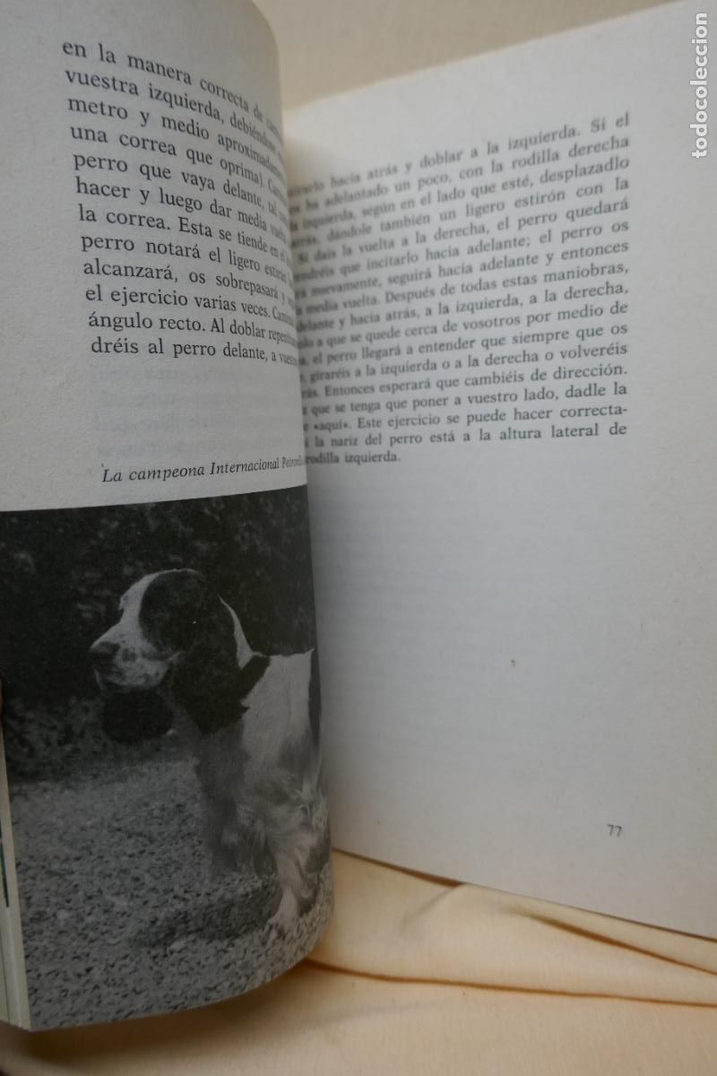 Libros de segunda mano: Los cocker por Fiorenzo Fiorone de Ed. De Vecchi - Foto 18