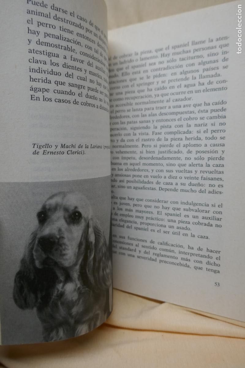 Libros de segunda mano: Los cocker por Fiorenzo Fiorone de Ed. De Vecchi - Foto 19