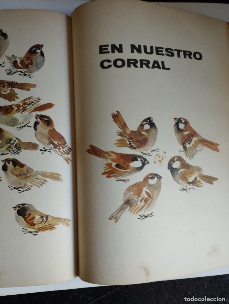 Libros de segunda mano: Mi primera zoolog&iacute;a E. Charushin - Foto 2