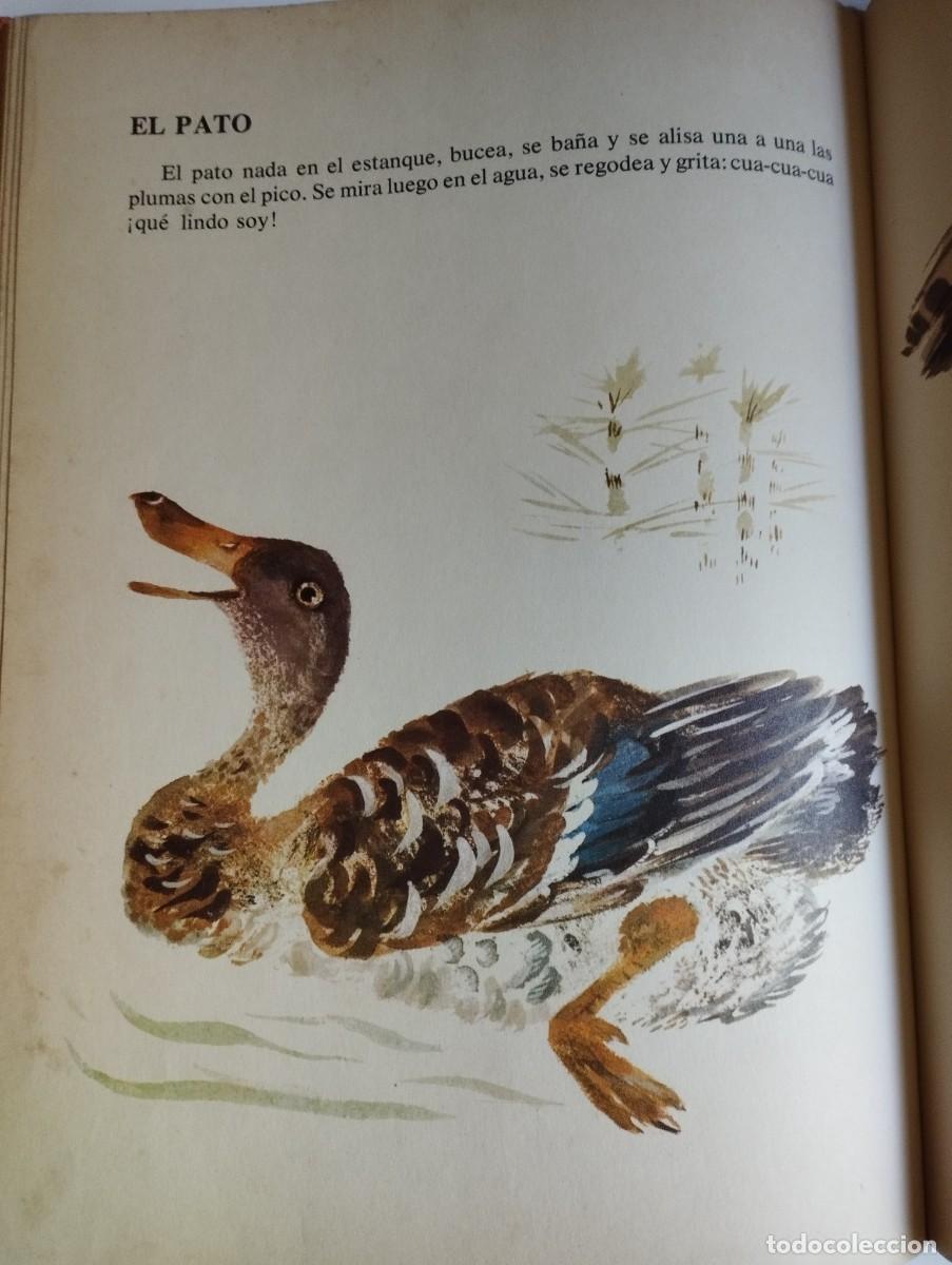Libros de segunda mano: Mi primera zoolog&iacute;a E. Charushin - Foto 3