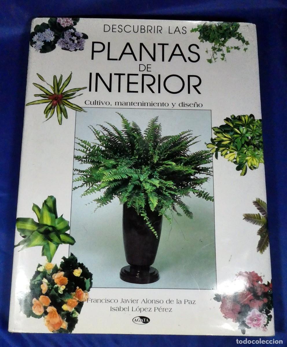 Libros de segunda mano: Descubrir PLANTAS DE INTERIOR - Foto 1