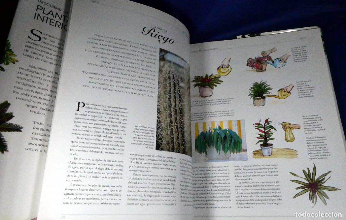 Libros de segunda mano: Descubrir PLANTAS DE INTERIOR - Foto 2
