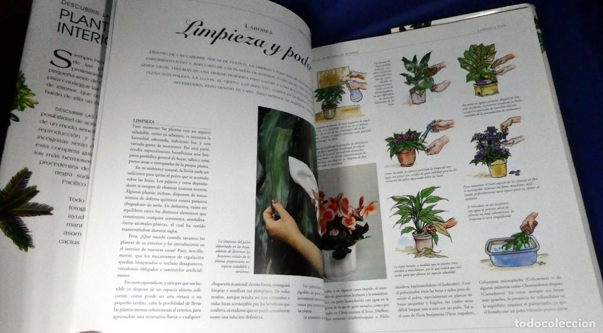 Libros de segunda mano: Descubrir PLANTAS DE INTERIOR - Foto 3