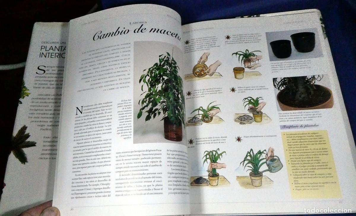 Libros de segunda mano: Descubrir PLANTAS DE INTERIOR - Foto 4