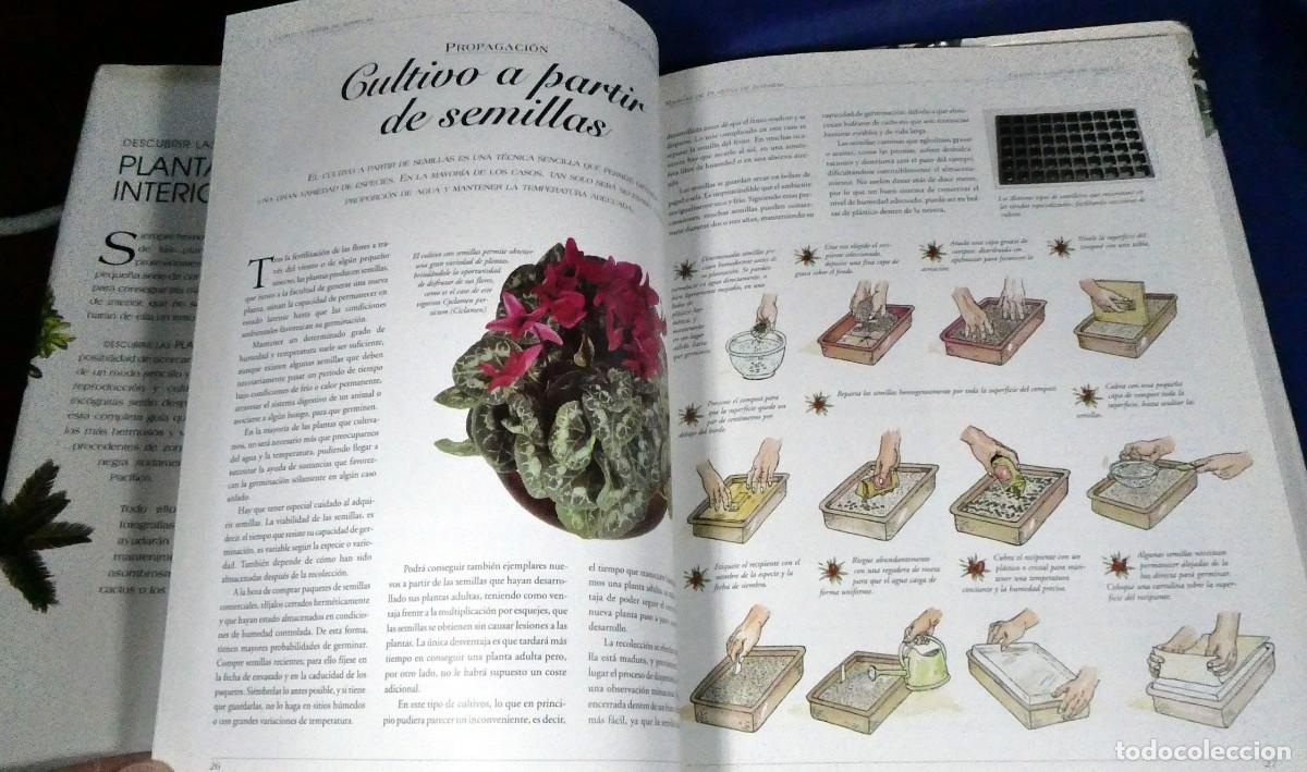 Libros de segunda mano: Descubrir PLANTAS DE INTERIOR - Foto 5