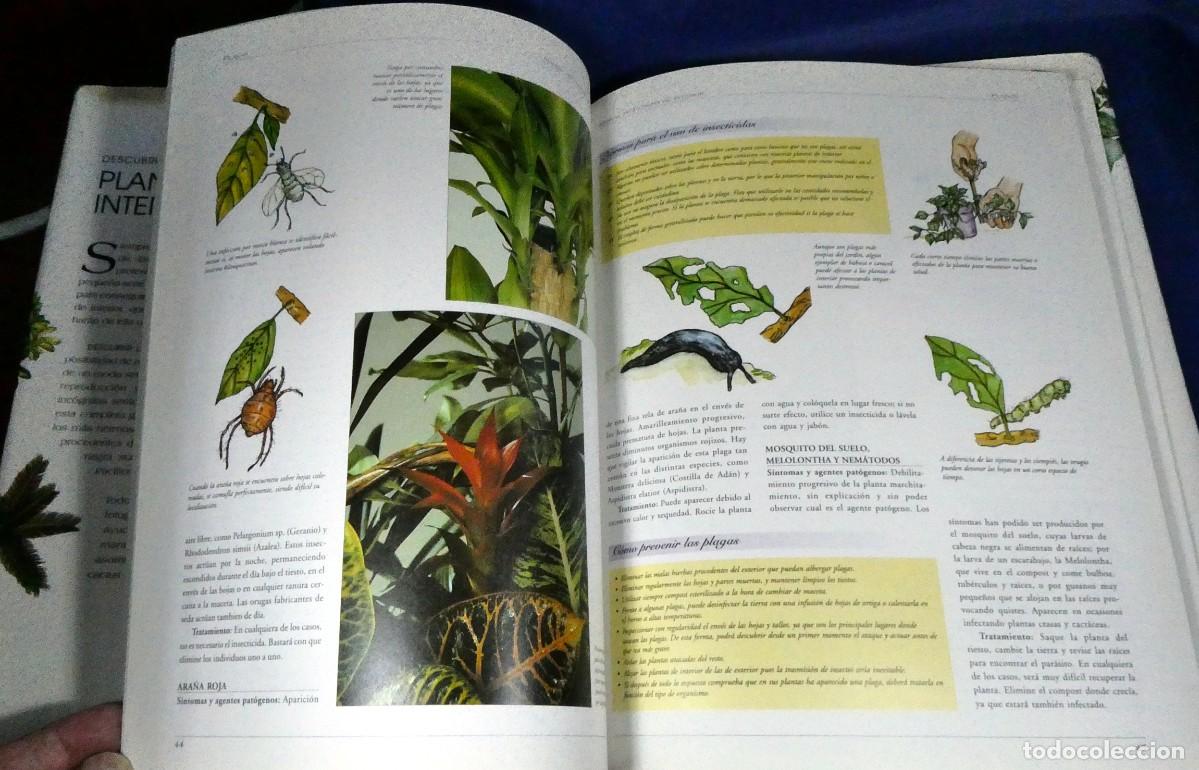 Libros de segunda mano: Descubrir PLANTAS DE INTERIOR - Foto 7
