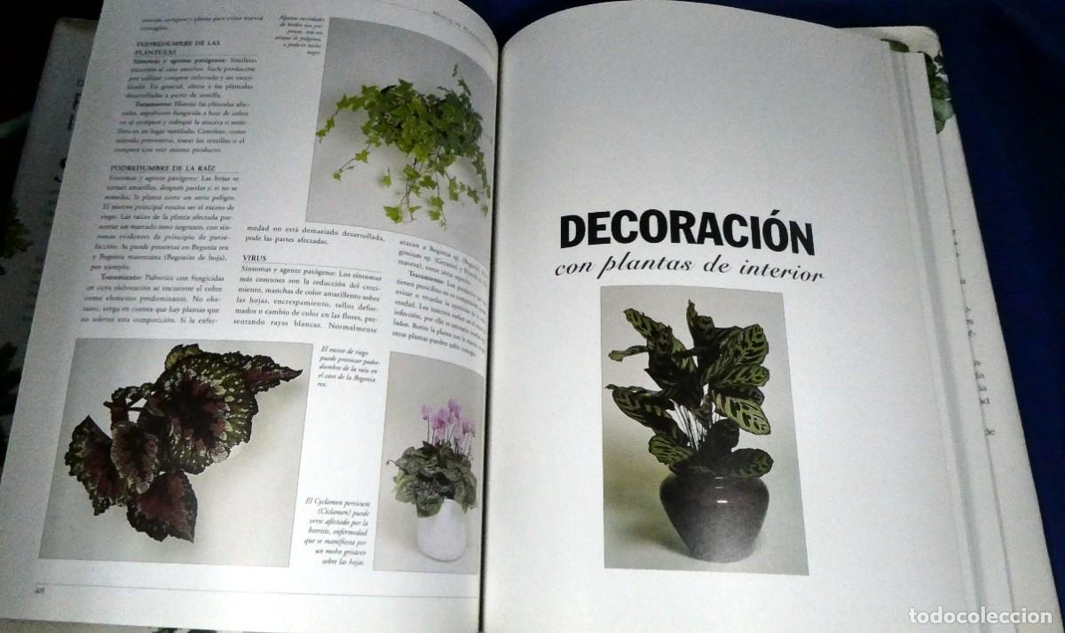 Libros de segunda mano: Descubrir PLANTAS DE INTERIOR - Foto 9