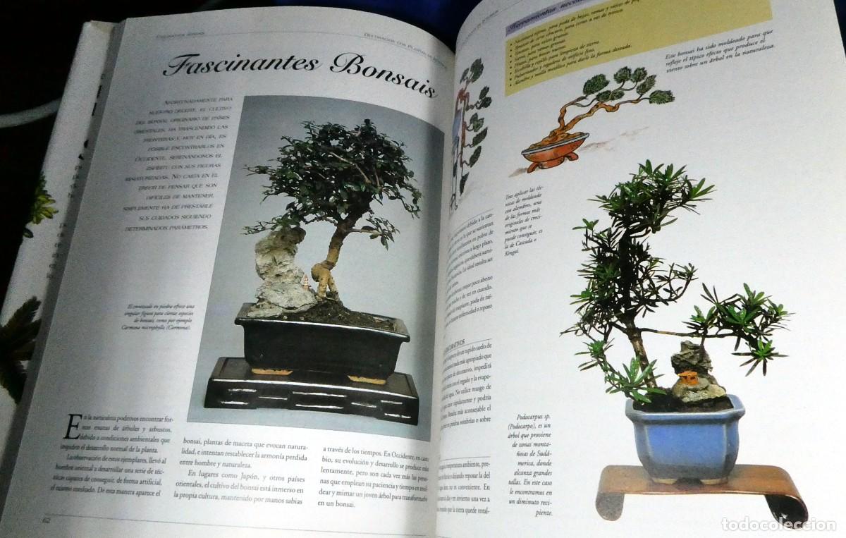 Libros de segunda mano: Descubrir PLANTAS DE INTERIOR - Foto 10