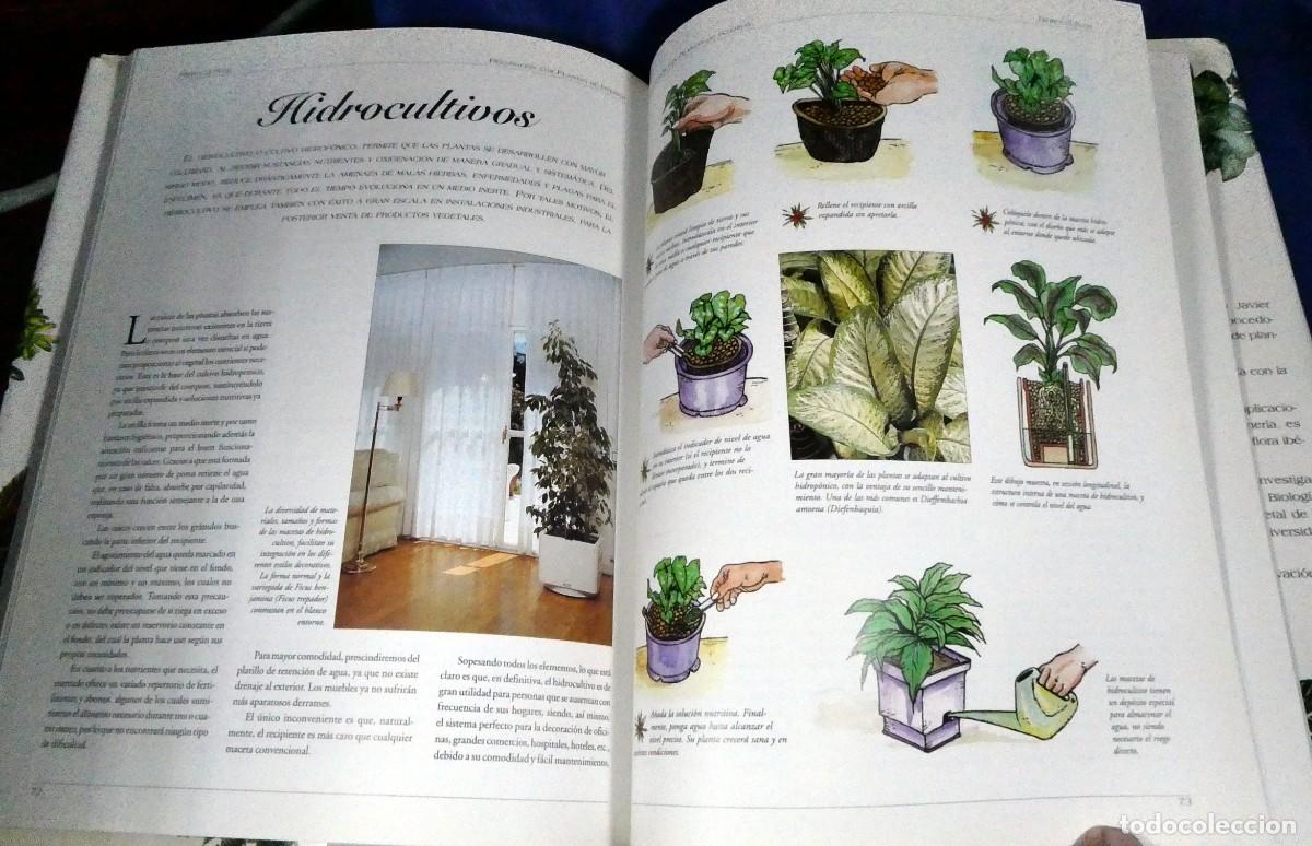 Libros de segunda mano: Descubrir PLANTAS DE INTERIOR - Foto 11