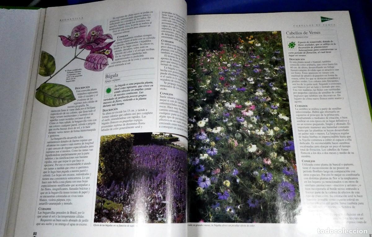 Libros de segunda mano: El LIBRO de oro de las PLANTAS y JARDINES - Foto 4
