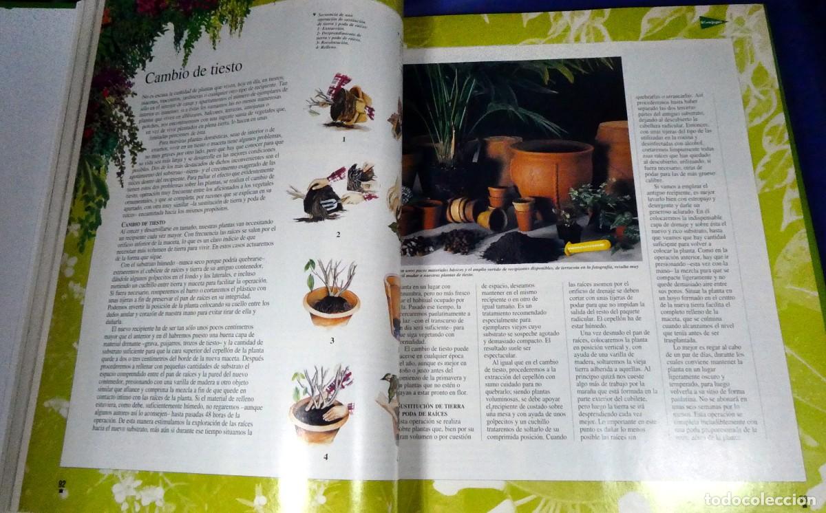 Libros de segunda mano: El LIBRO de oro de las PLANTAS y JARDINES - Foto 5