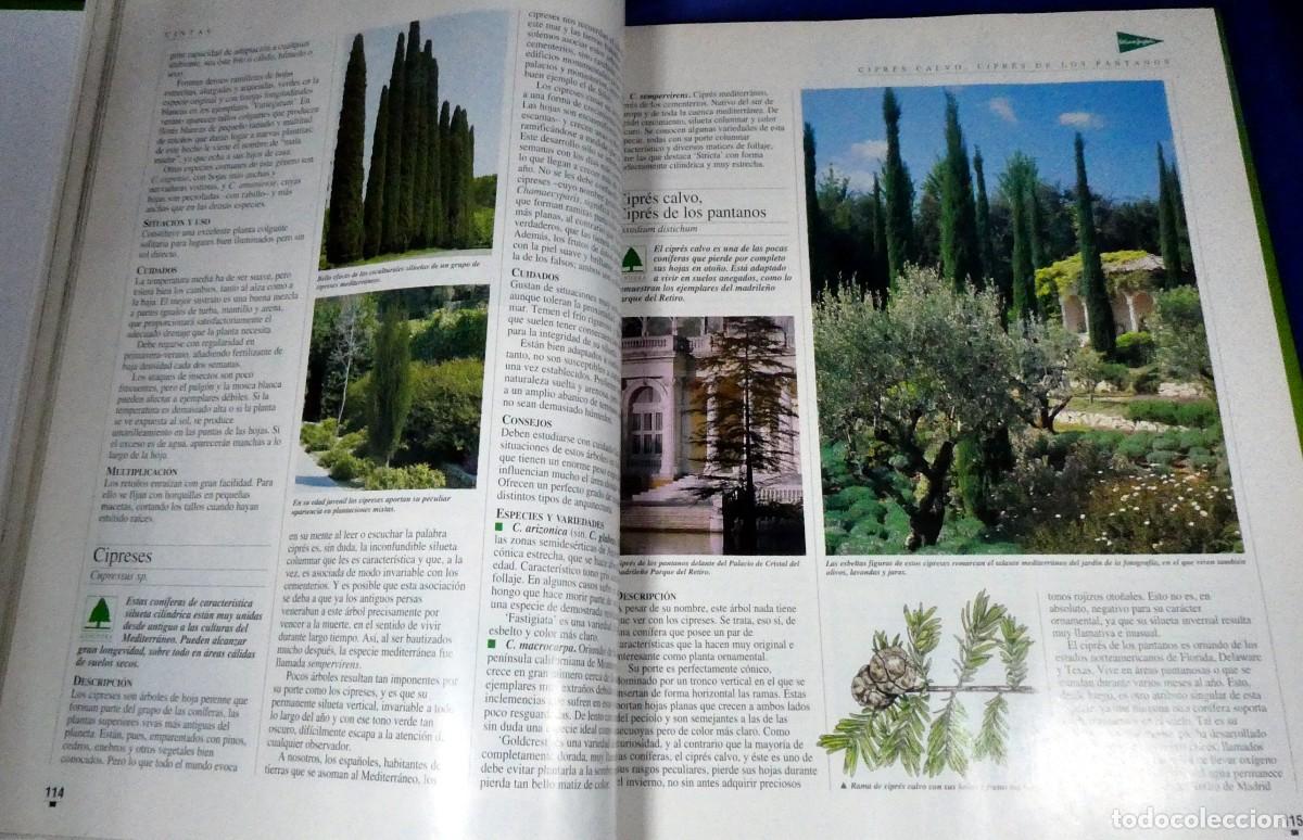 Libros de segunda mano: El LIBRO de oro de las PLANTAS y JARDINES - Foto 6