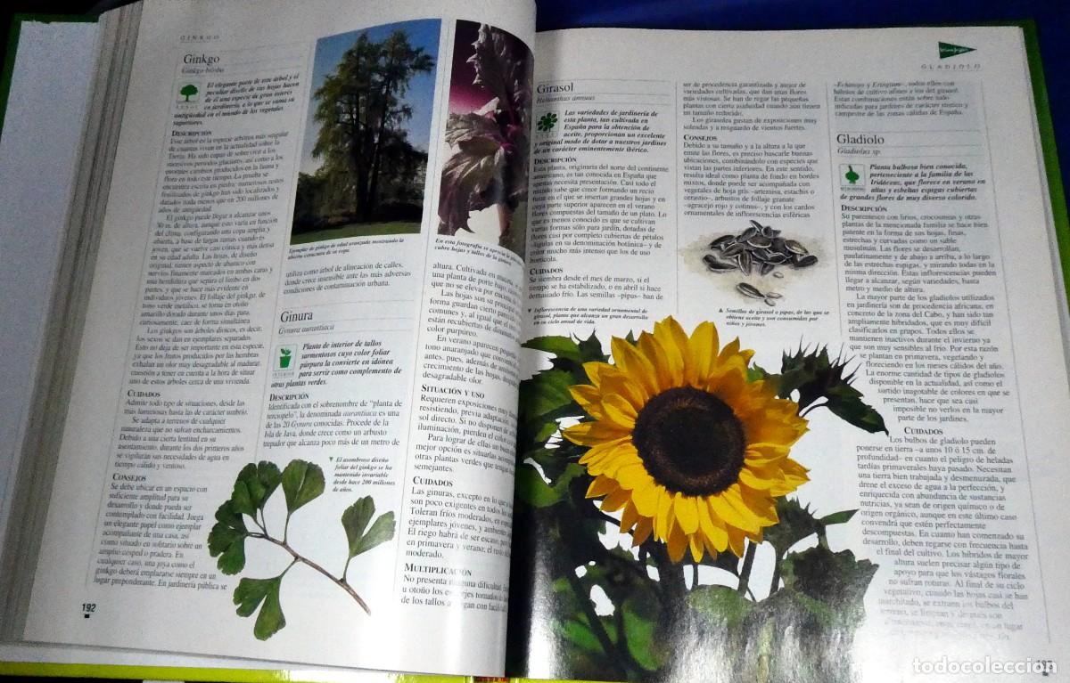 Libros de segunda mano: El LIBRO de oro de las PLANTAS y JARDINES - Foto 7