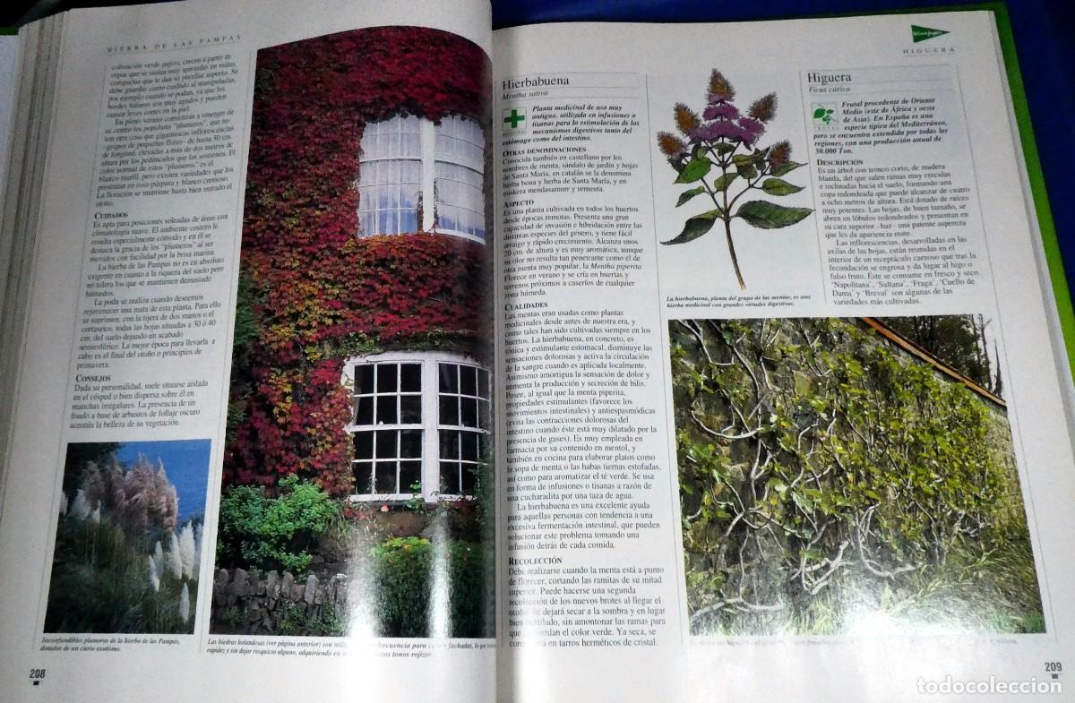 Libros de segunda mano: El LIBRO de oro de las PLANTAS y JARDINES - Foto 8