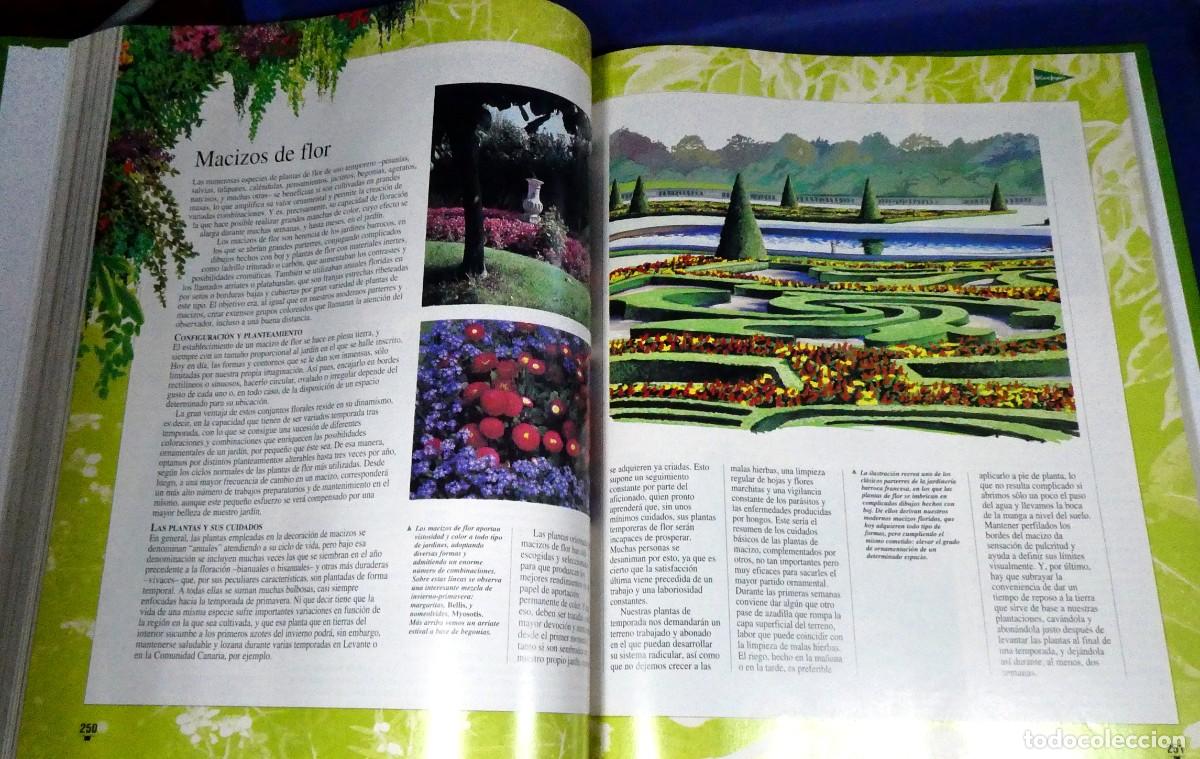 Libros de segunda mano: El LIBRO de oro de las PLANTAS y JARDINES - Foto 9