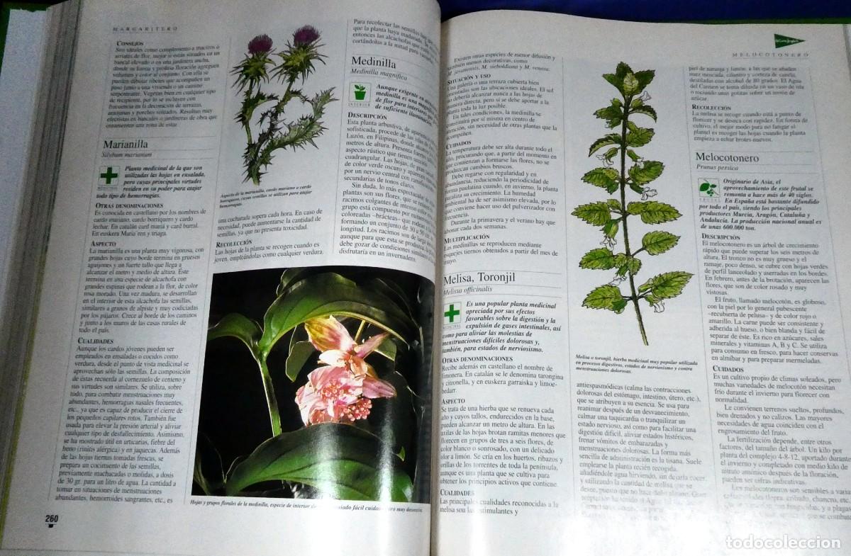 Libros de segunda mano: El LIBRO de oro de las PLANTAS y JARDINES - Foto 10