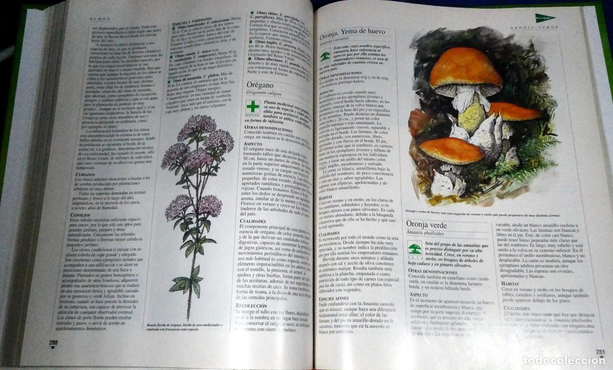 Libros de segunda mano: El LIBRO de oro de las PLANTAS y JARDINES - Foto 11