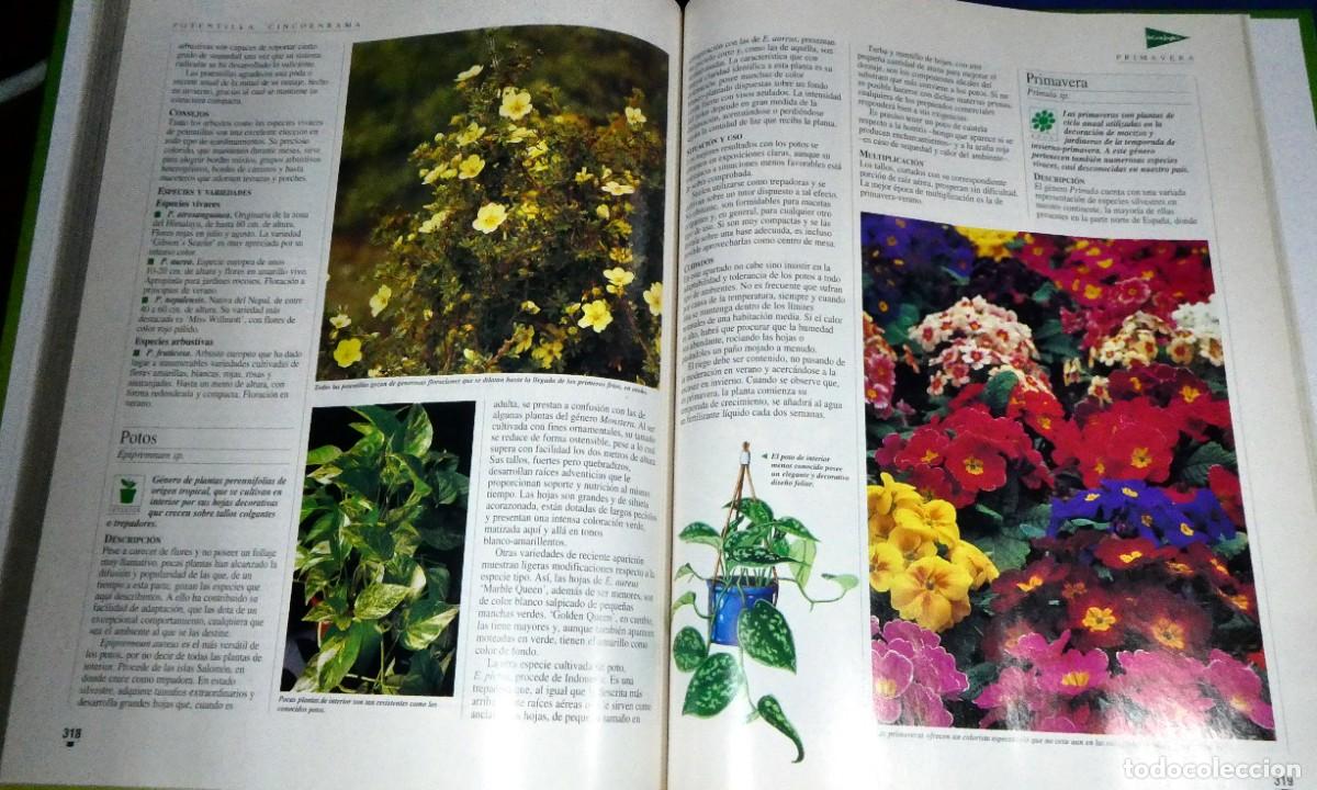 Libros de segunda mano: El LIBRO de oro de las PLANTAS y JARDINES - Foto 12